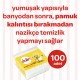 DALİN KULAK ÇUBUĞU 100'LÜ
