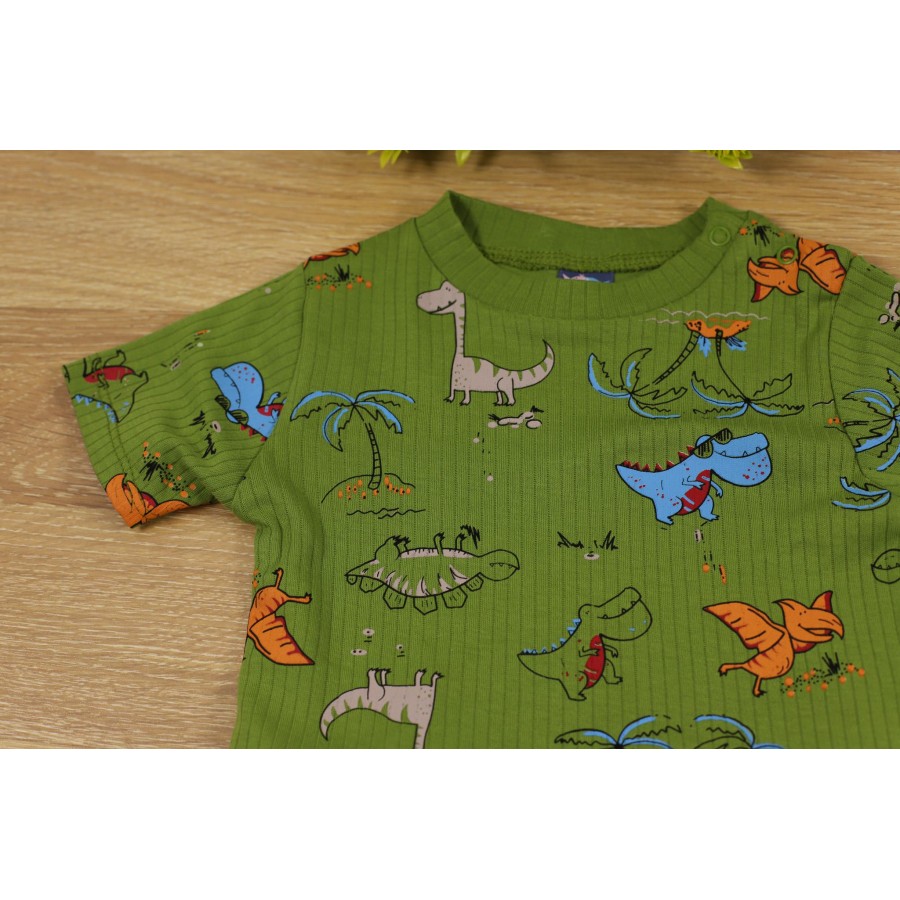 NAZAR 23041 DİNAZOR BSK.ERK.TAKIM 9/24 AY