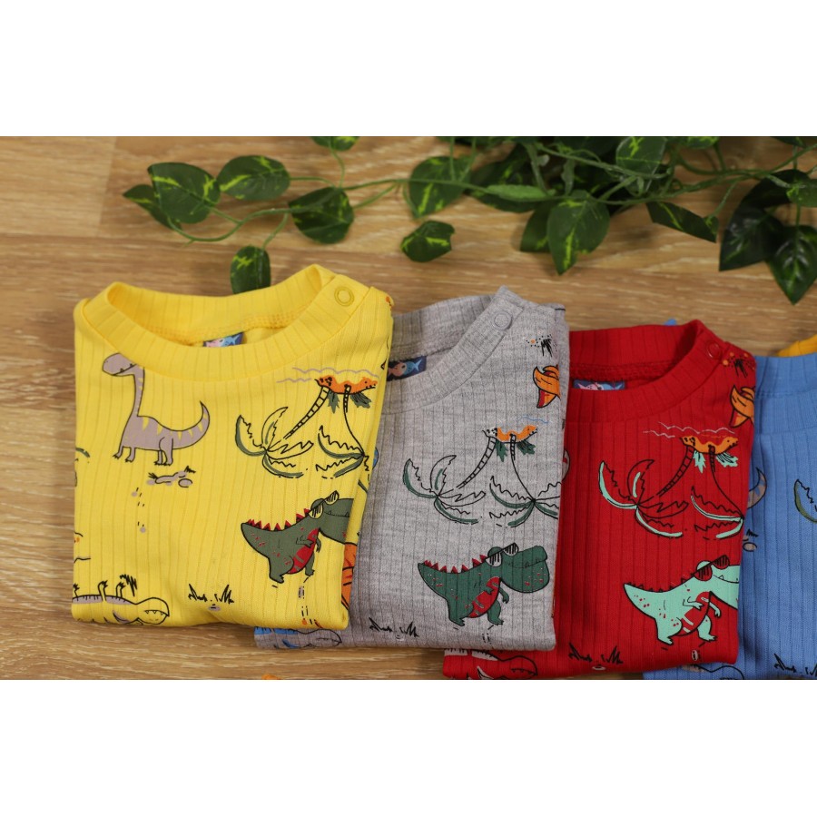 NAZAR 23041 DİNAZOR BSK.ERK.TAKIM 9/24 AY